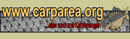 Visit This Site